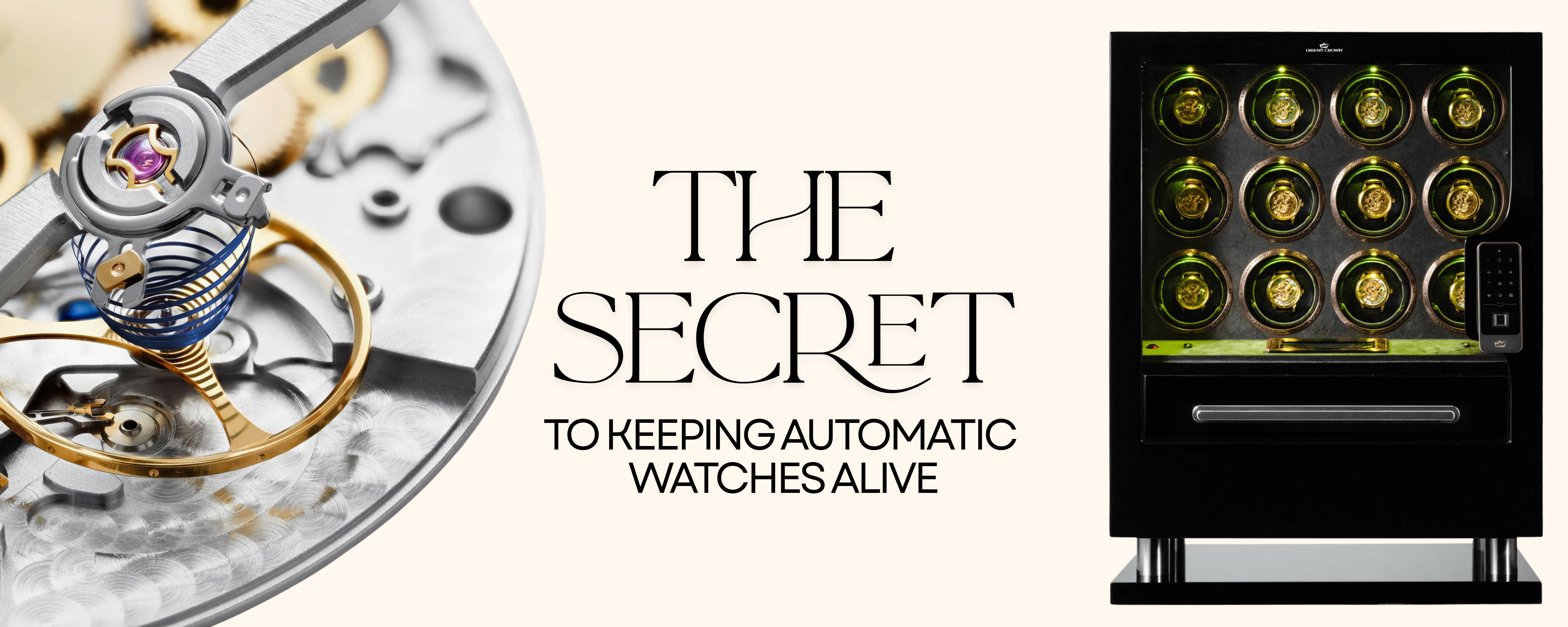 What is a Watch Winder and Why Every Automatic Watch Needs One