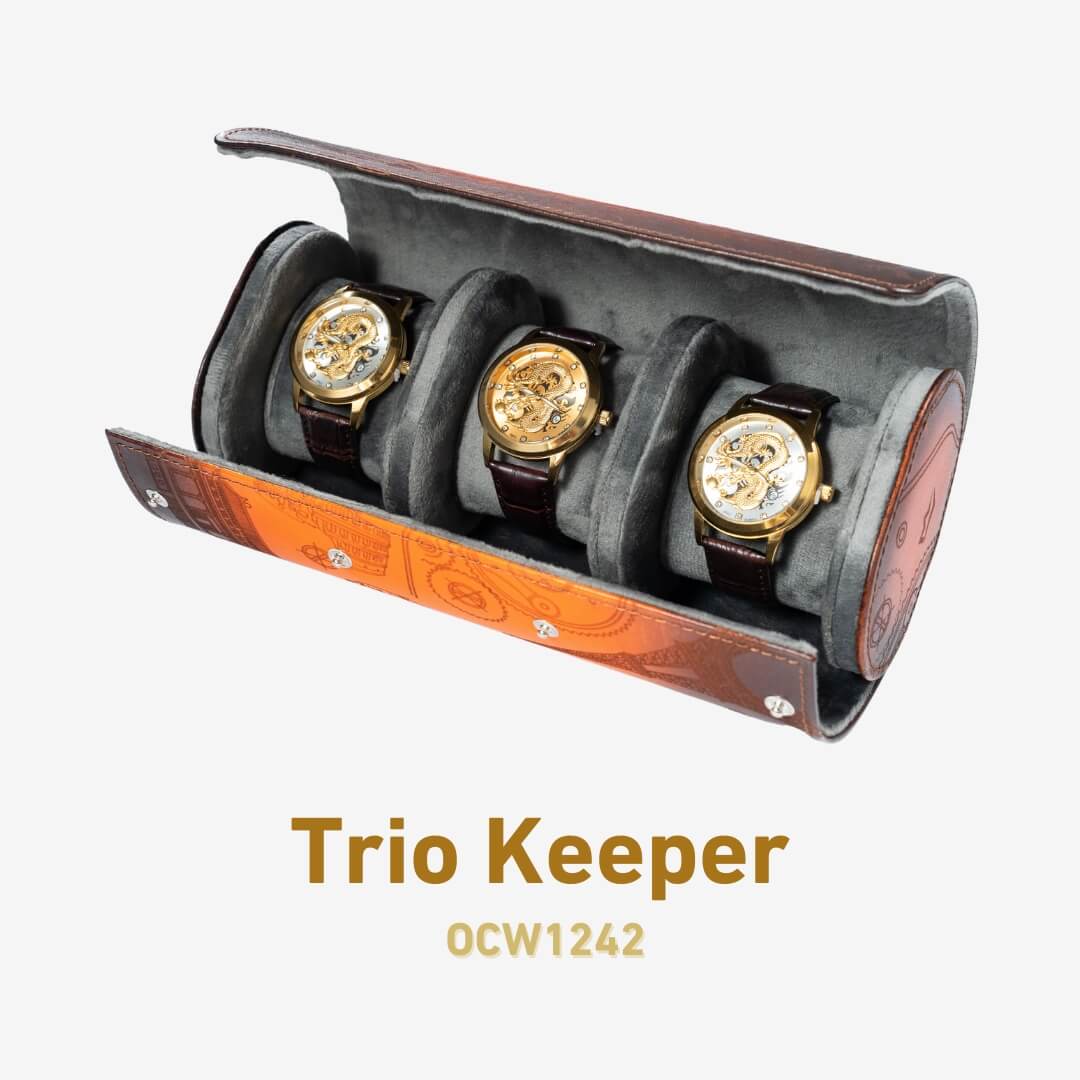 Watch keeper top box